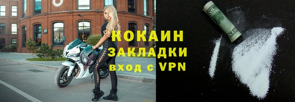 индика Костерёво