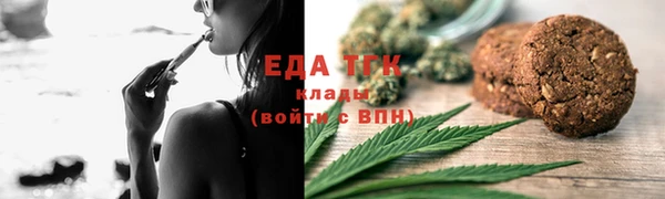 индика Костерёво