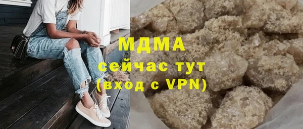 индика Костерёво
