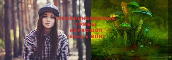 соль курить ск Козельск