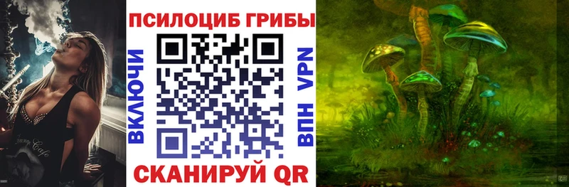 Псилоцибиновые грибы Magic Shrooms  Купить где  Мариинский Посад 